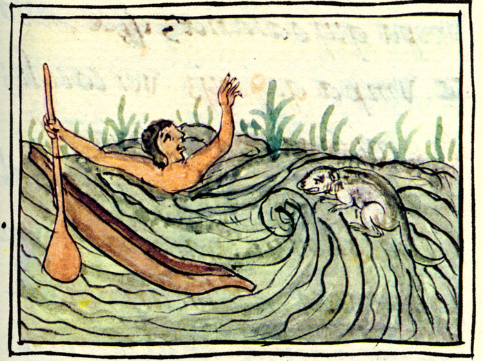 Sixteenth century manuscript illustration of an Aztec man being drowned by an Ahuizotl