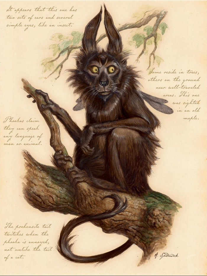 An illustrative depiction of a puca, a black-furred and bestial fairy, from the book Arthur Spiderwick's Field Guide to the Fantastical World