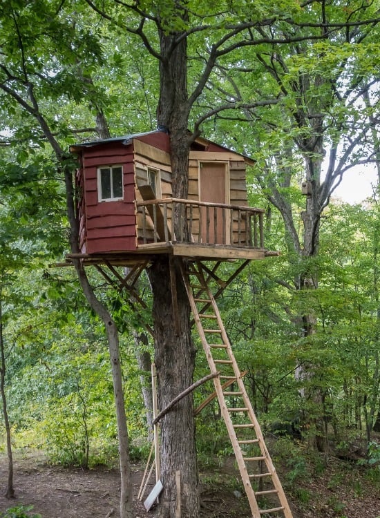 a child's tree house in a spring forest